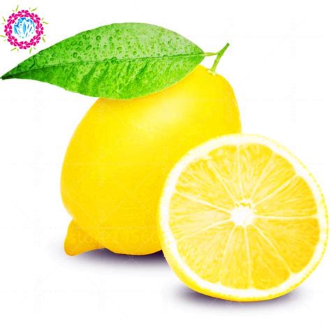 Pcs Edible Fruit Meyer Lemon Bonsai Exotic Citrus Bonsai Lemon Tree Fresh Fruit Vegetables