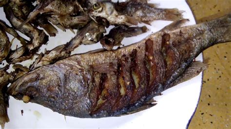 Ikan kakap merupakan salah satu ikan yang biasa diolah sebagai santapan yang lezat dan jika anda sekarang bingung bagaimana si mengolah iklan kakap ini. Ikan goreng Mewah KAKAP PUTIH dan ikan goreng BELANAK ...