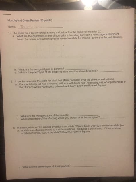 Use the resources below to answer the questions that follow. Punnett Square Practice: Monohybrid Mice Ansers - What is ...