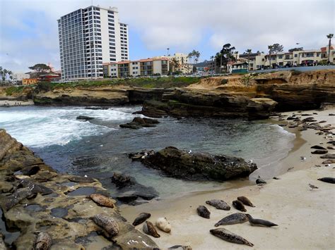 La Jolla California The Jewel City Has Some Of The Best Beaches In