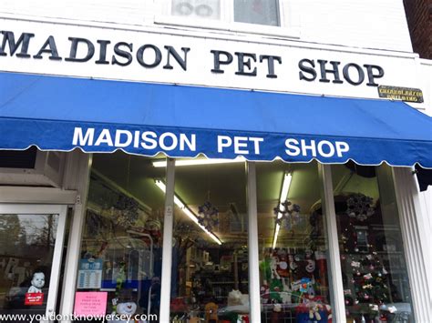 Our store also offers grooming, training, adoptions, veterinary and curbside pickup. Shop Local, NJ! Downtown Madison | You Don't Know Jersey ...
