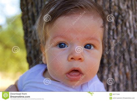 Close Up Of Baby Stock Image Image Of Intensity Newborn 56777345