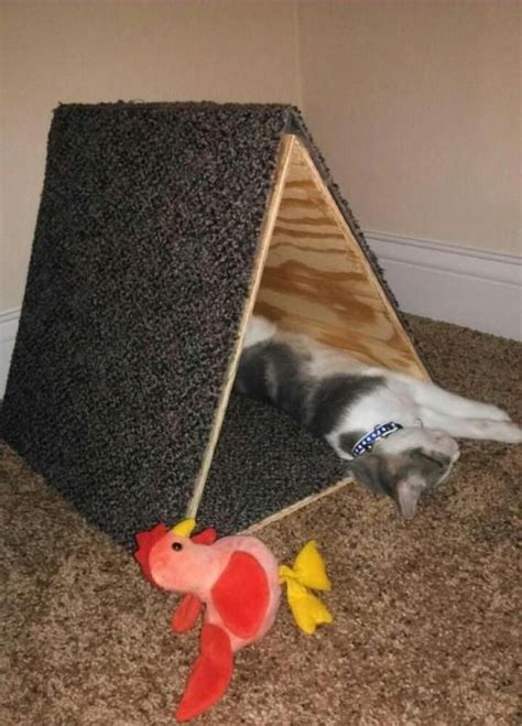 Diy Cat Scratching Post And Play Area For Cats With Love