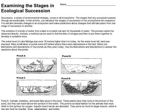 Worksheet Answer Ecological Succession Lab Answer Key - kidsworksheetfun