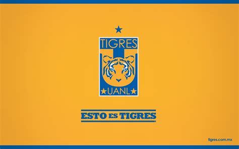 Con clgo es fácil crear su propia marca. ¡Esto es Tigres! | Tigres uanl, Tigre, Tigres futbol