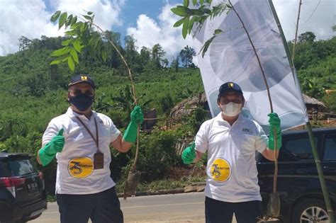 Penutup diharapkan kertas kerja ringkas penanaman pisang ini dapat dijadikan panduan asas kepada parapara usahawantani yang berminat ingin menceburi sektor pertanian masakini. BPJN Sulut lakukan gerakan penanaman pohon di KSPN ...