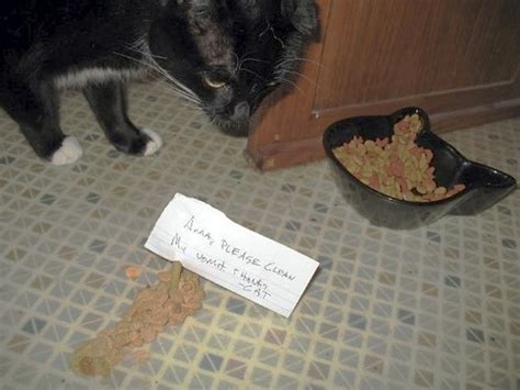 Is your cat vomiting after eating? Signed, The Cat | PassiveAggressiveNotes.com