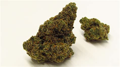 Apples And Bananas Strain Review Patabook News