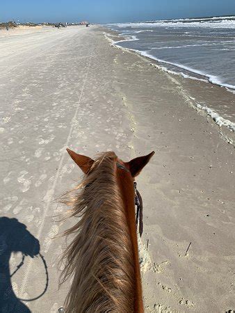 Check out updated best hotels & restaurants near happy trails walking horses. Happy Trails Walking Horses (Fernandina Beach) - 2021 All ...