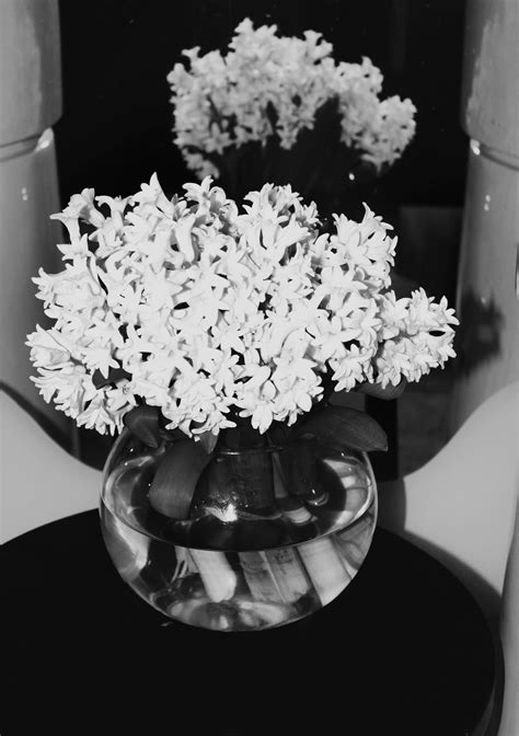 A wedding reception is a party usually held after the completion of a marriage ceremony as hospitality for those who have attended the wedding, hence the name reception: Glass bowl filled with Hyacinths at wedding reception ...