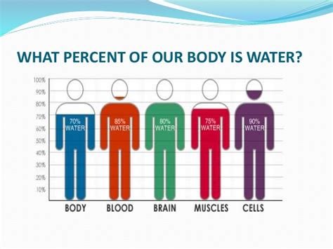 What does body water percentage mean? Water presentation, Advantages of drinking water,