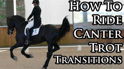 How To Do Canter To Trot Transitions Made Easy Your Riding Success