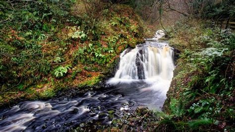 Waterfall Trail At Glenariff Forest Park County Antrim Hiking In