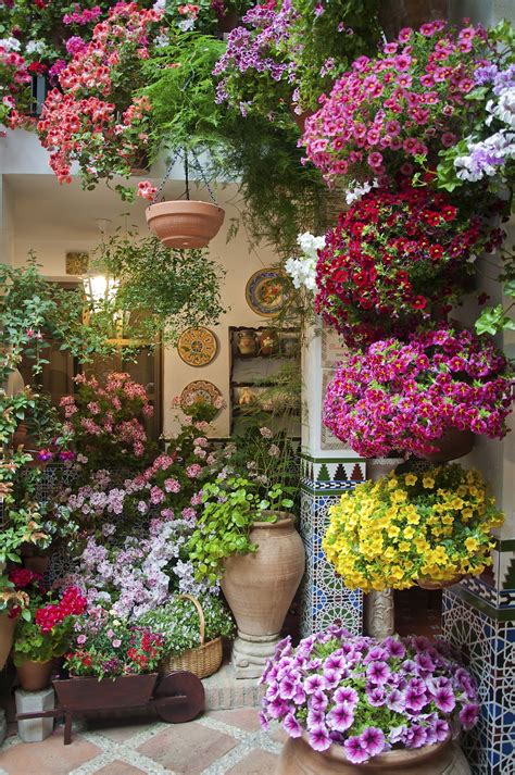Fascinating Potted Flower Decor Ideas That Will Make