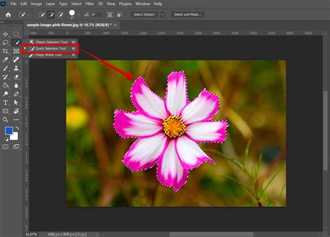 Can You Turn A Selection Into A Shape In Photoshop Websitebuilderinsider Com