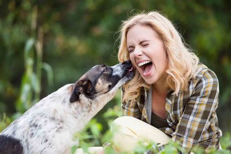 Rocklin Ca Veterinary Blog The Human Animal Bond The Many Ways Pets