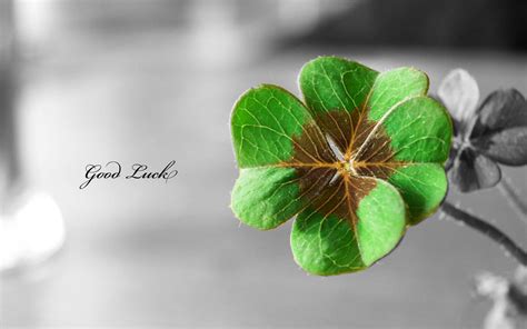 The image above is the chinese symbol for luck. Mensagens Legais para Desejar Boa Sorte | Mensagens ...