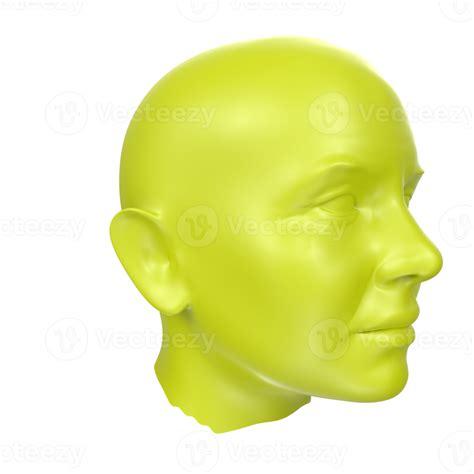 Free 3d Rendering Of Human Bust 18065891 Png With Transparent Background