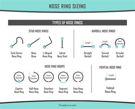 Nose Piercing 101 Types Styles And Aftercare Jewelry Auctioned
