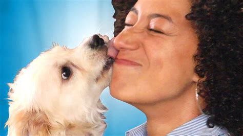 10 Puppy Kisses That Take Cute Too Far The Dog People By