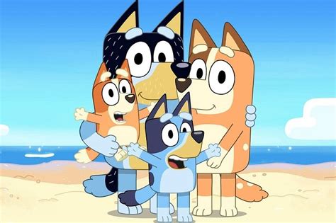 Where To Buy Official Bluey Merchandise Clothes Books Toys And More
