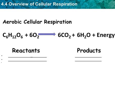 Although carbohydrates, fats, and proteins are consumed as reactants, it is the preferred method of pyruvate breakdown in glycolysis and requires that pyruvate enter the. What is the equation for cellular respiration reactants and products ALQURUMRESORT.COM