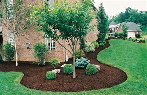 Landscaping Ideas For Corners Of House