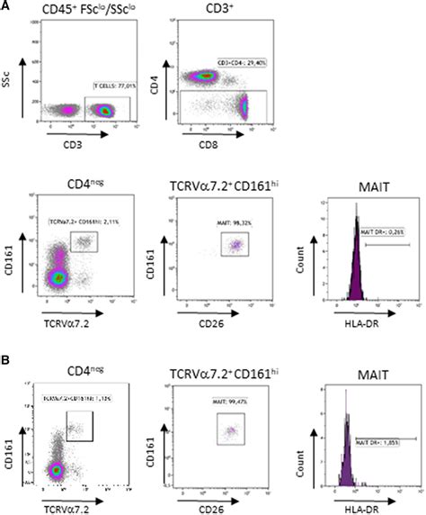 Gating Strategy For Flow Cytometry Identification Of Mait Cells