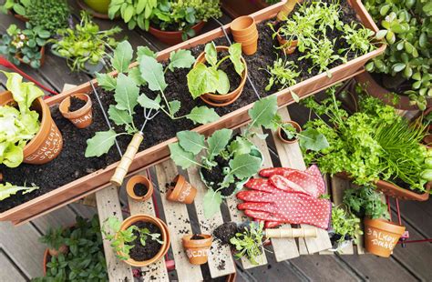 A Complete Checklist To Get Your Garden Ready For Spring Planting