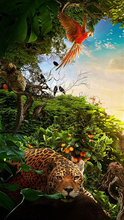 20 Jungle Hd Iphone Wallpapers Wallpaperboat