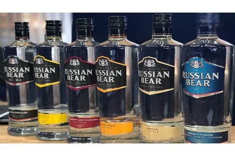 Russian Bear Drinking Vodka