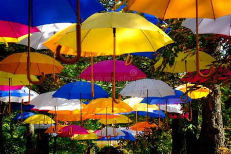 Many Many Colorful Umbrellas To The Delight Of All Editorial Stock