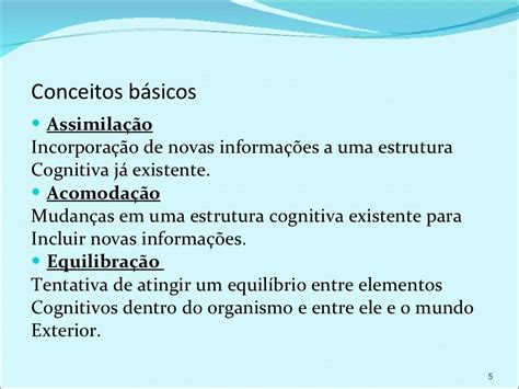 é Importante Ter Um Balanço Entre Assimilação E Acomodação