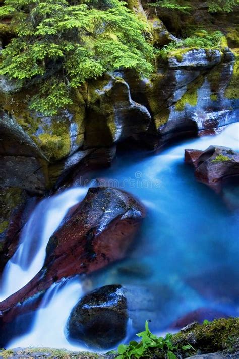 1 Avalanche Creek Gorge Glacier National Park Free Stock Photos