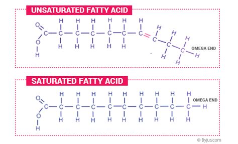 Describe The Structure Of A Fatty Acid