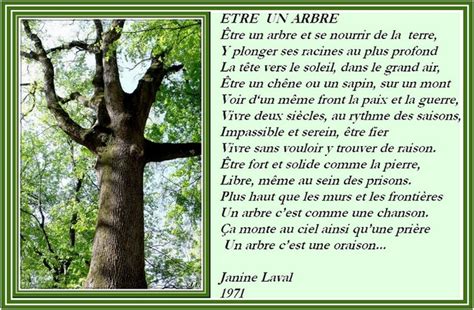 Le Premier Arbre Naniland