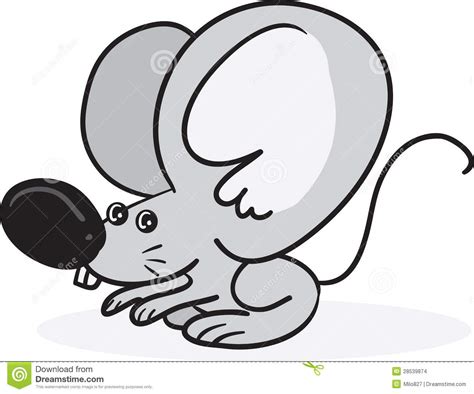 Mouse Big Ears Stock Images Image 28539874