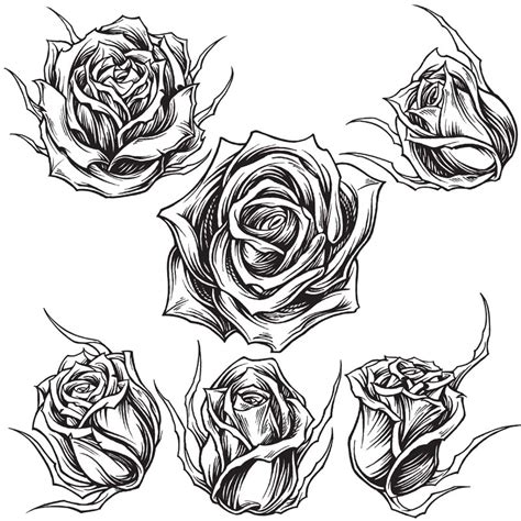 The most impressive about the flower band tattoo by zihwa is how thin all the outlines are. Roses Line Drawing at GetDrawings | Free download