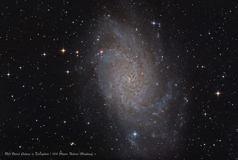 M33 The Triangulum Galaxy Visibledark