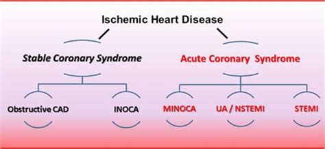 Stable Coronary Syndromes The Case For Consolidating The Nomenclature