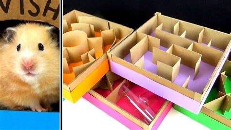 5 Level Maze For Hamsters Who Is The Best Hamster Diy Hamster