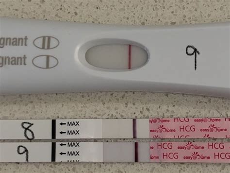 9dpo Frer And Easyhome Tests Babycenter