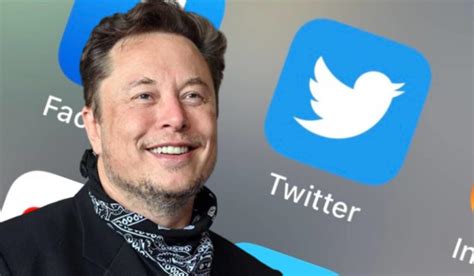 Elon Musk Despide A Todo El Personal De Twitter En Brasil El Quinto