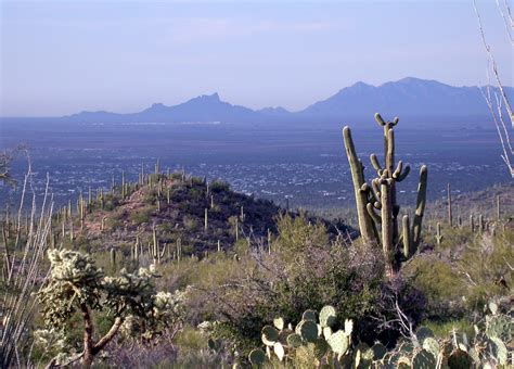 Saguaro National Park Landscape With Hills Arizona Image Free Stock