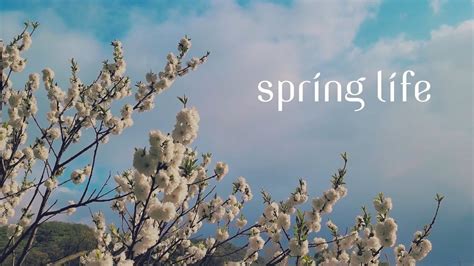 봄의 생기를 담아보았습니다 Cinematic Spring Life Youtube
