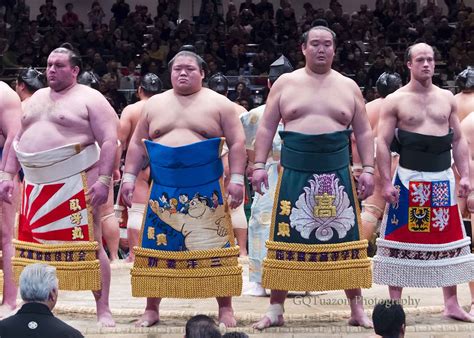 Japanese Pro Sumo Wrestlers
