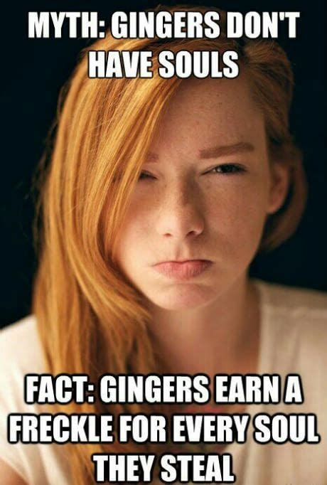 Entertaining Redhead Memes That Ll Complete Your Day Ginger Jokes Ginger Facts Freckles