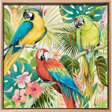Tableau Animaux Trio De Perroquets Multicolores Dans La Jungle Caisse