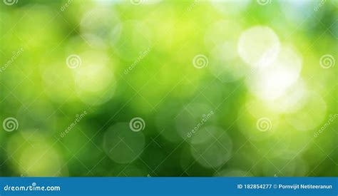 Spring Bokeh Nature Abstract Background Green Leaves Blurred Stock