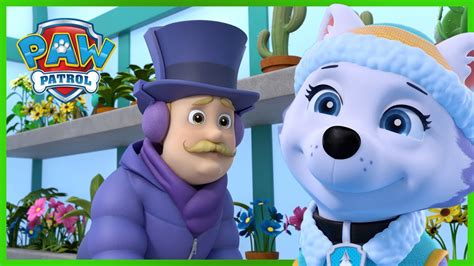 Everest Saves Mayor Goodway In The Snow ️ Paw Patrol Rescue Episode